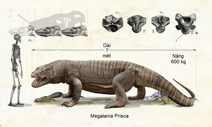 Picture 11 of Monsters that dominated the prehistoric world
