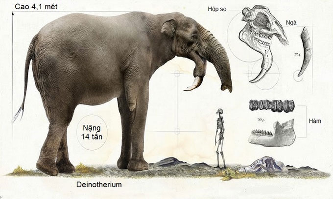 Picture 7 of Monsters that dominated the prehistoric world