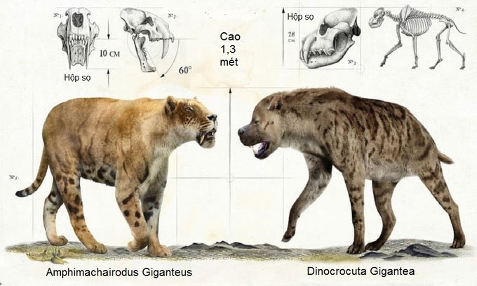Picture 9 of Monsters that dominated the prehistoric world