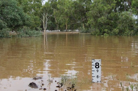 Picture 6 of More than 10,000 Australians stuck in the flood
