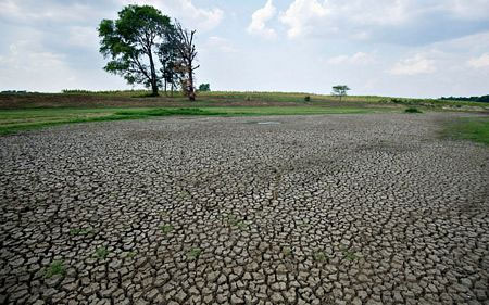 Picture 8 of More than half of America has suffered from drought