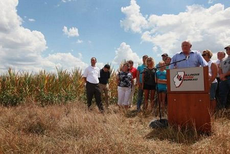 Picture 9 of More than half of America has suffered from drought