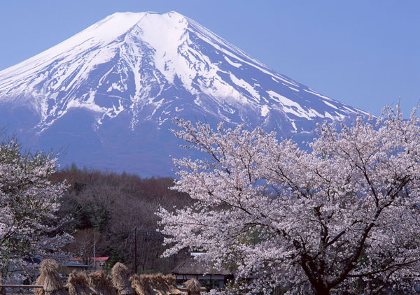 Picture 1 of Mount Fuji may collapse in an earthquake