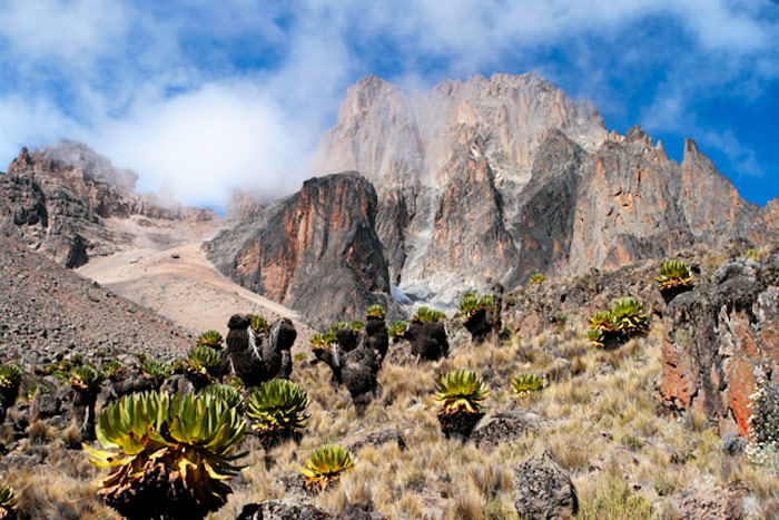Picture 2 of Mount Kenya National Park