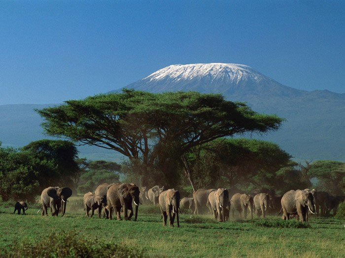 Picture 4 of Mount Kenya National Park
