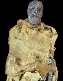Picture 1 of Move 3 Egyptian mummies to check DNA