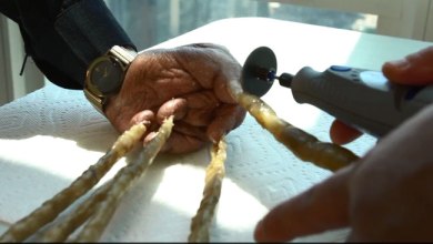 Picture 2 of Mr. Indian tool cut the longest nail set in the world