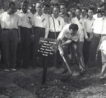 Picture 1 of Mr. Lee Kuan Yew's vision of Singapore greenery