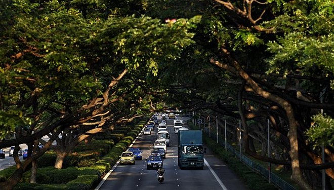 Picture 2 of Mr. Lee Kuan Yew's vision of Singapore greenery