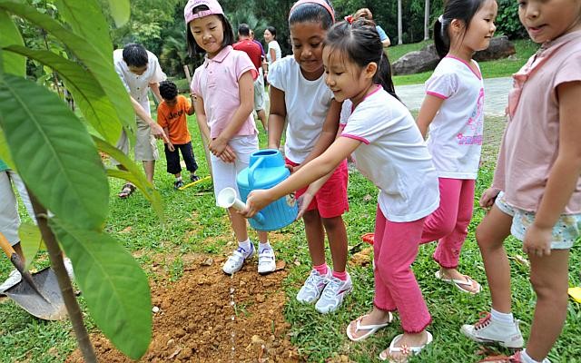 Picture 3 of Mr. Lee Kuan Yew's vision of Singapore greenery