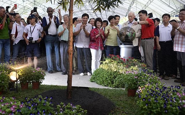 Picture 4 of Mr. Lee Kuan Yew's vision of Singapore greenery