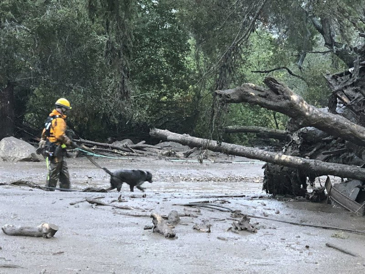 Picture 8 of Mud from the forest fire disaster in California, 13 people were killed