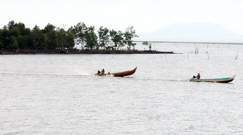 Picture 1 of Mui Ca Mau National Park is recognized as a Ramsar site