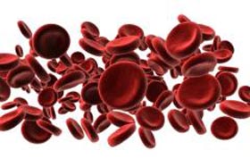 Picture 1 of Multi-trait growth helps regenerate blood cells