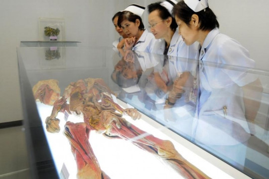 Picture 3 of Mummification techniques in the world