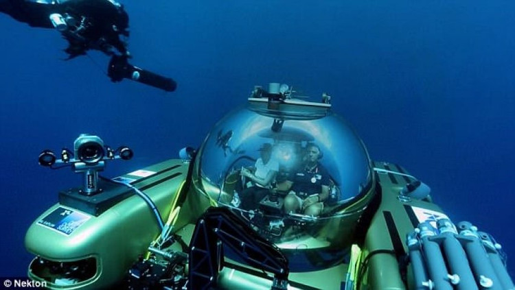 Picture 4 of Mysterious 300m deep sea in Bermuda: Unprecedented creatures on Earth