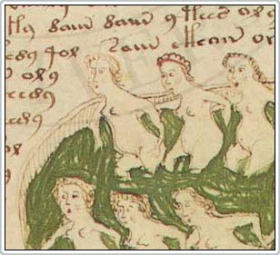 Picture 2 of Mysterious ancient book