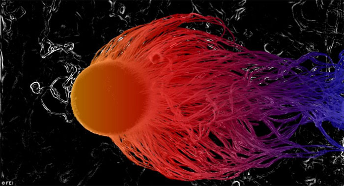 Picture 9 of Mysterious beauty invisible world