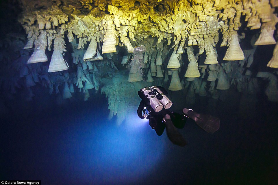 Picture 10 of Mysterious bell-shaped jelly in Mexican cave
