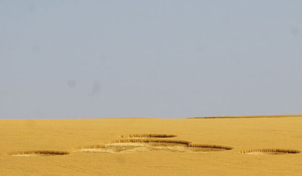 Picture 1 of Mysterious circle on the American field
