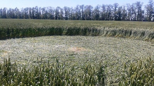 Picture 2 of Mysterious circle on the field in Russia