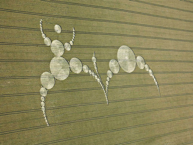 Picture 11 of Mysterious circles in the field