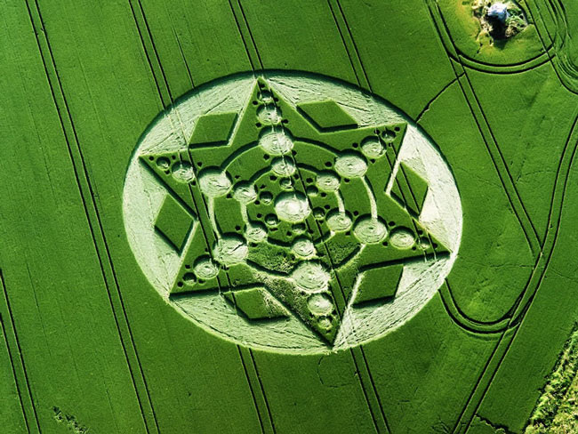Picture 13 of Mysterious circles in the field