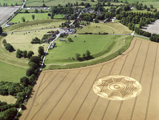 Picture 15 of Mysterious circles in the field