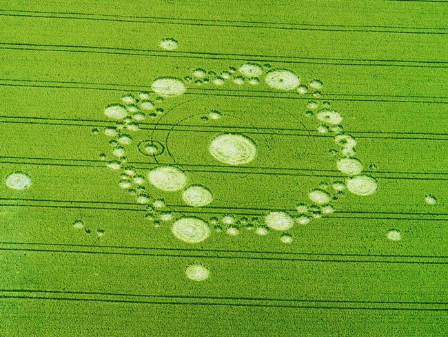 Picture 16 of Mysterious circles in the field