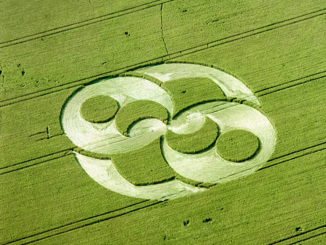Picture 18 of Mysterious circles in the field
