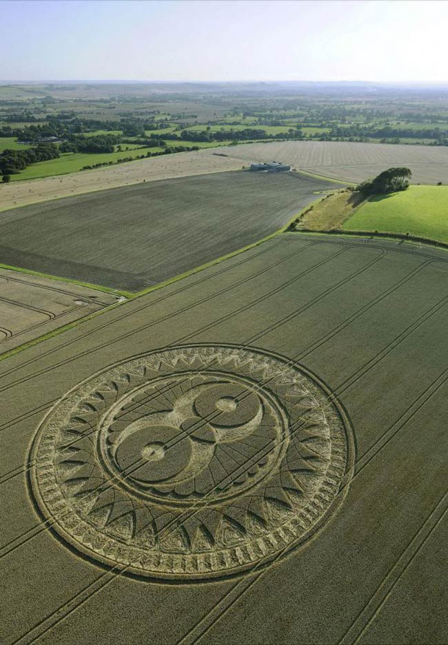 Picture 19 of Mysterious circles in the field