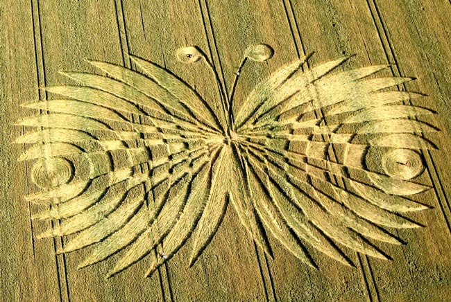 Picture 22 of Mysterious circles in the field