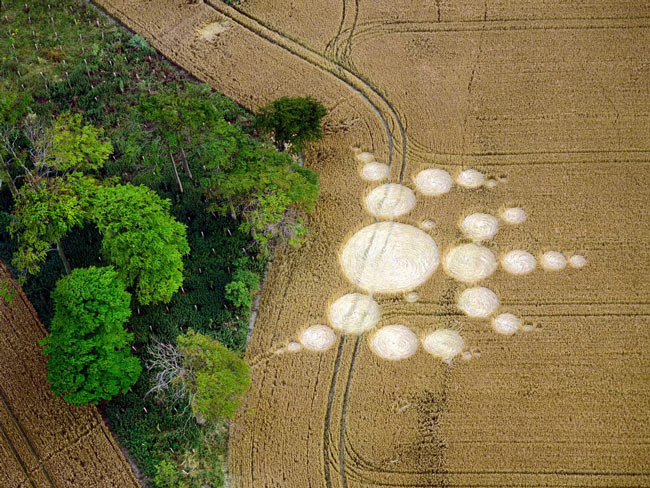 Picture 23 of Mysterious circles in the field
