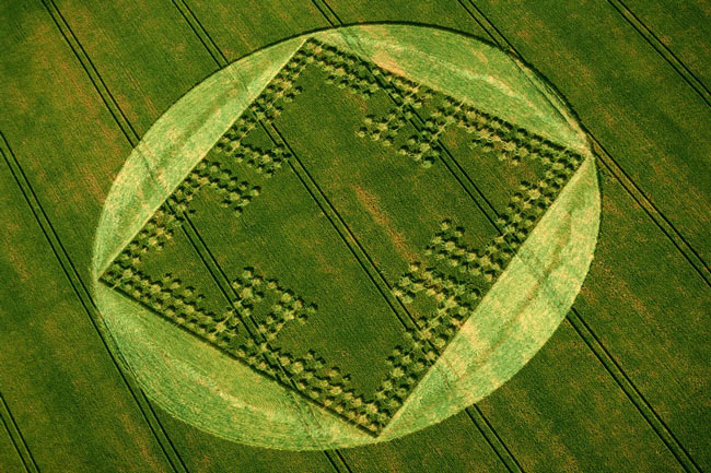 Picture 24 of Mysterious circles in the field