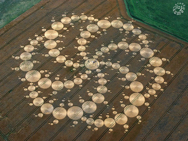 Picture 3 of Mysterious circles in the field