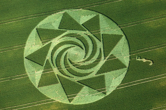 Picture 4 of Mysterious circles in the field