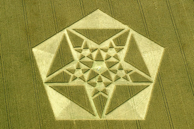 Picture 5 of Mysterious circles in the field