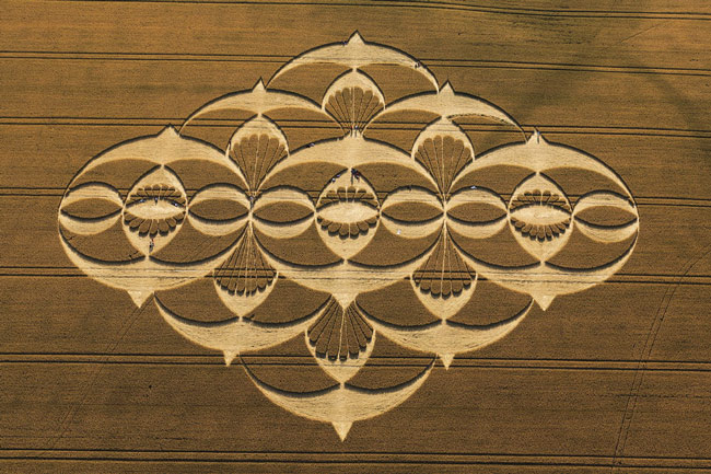 Picture 8 of Mysterious circles in the field