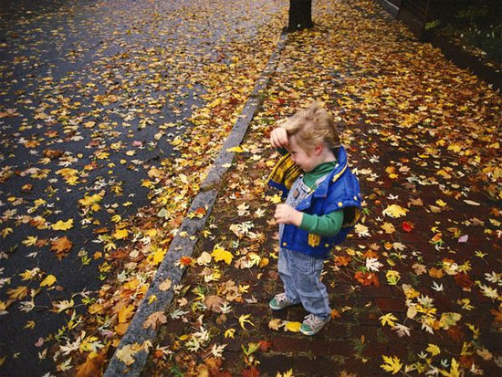 Picture 5 of Mysterious deciphers' autumn leaves fall yellow