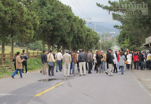 Picture 3 of Mysterious ghost path on Jeju Island - South Korea