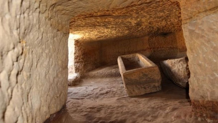 Picture 1 of Mysterious headless crocodile in 3,400 year old burial area
