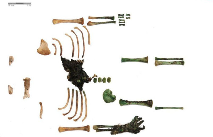 Picture 2 of Mysterious mummy baby with 1 arm