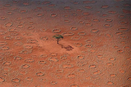 Picture 1 of Mysterious perpetrator creates 'fairy circle'