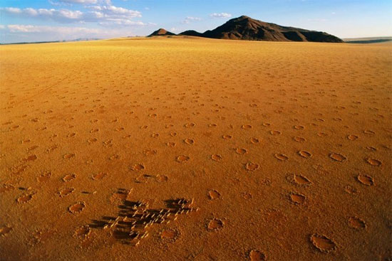 Picture 3 of Mysterious perpetrator creates 'fairy circle'