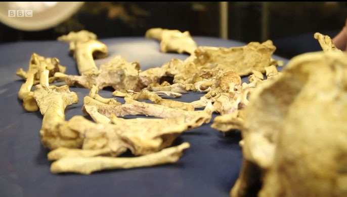 Picture 6 of Mysterious remains of women belong to another human species