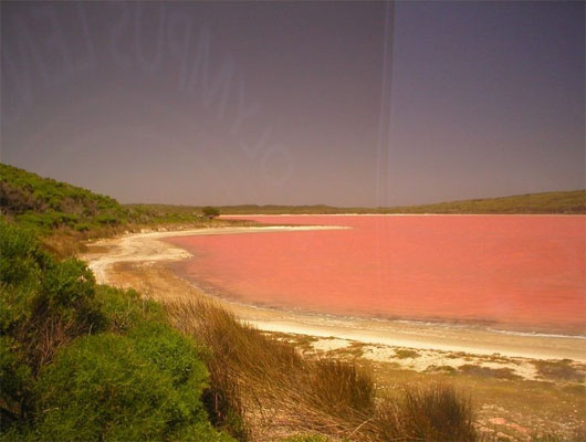 Picture 3 of Mysterious rose lake in Australia