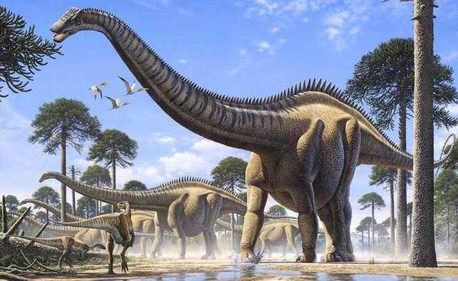 Picture 5 of Mysterious stone statues make us hypothesize: Did humans live at the same time as dinosaurs?