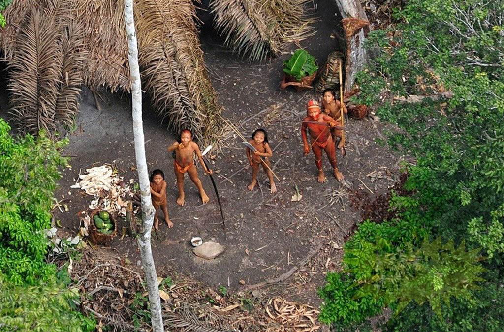 Picture 11 of Mysterious things in the Amazon forest make you