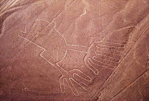 Picture 6 of Mysterious things of human riddles