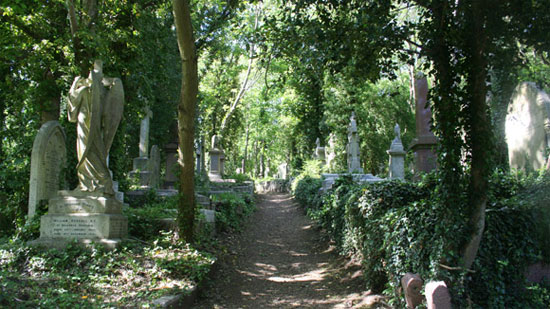 Picture 1 of Mysterious vampire in Highgate cemetery